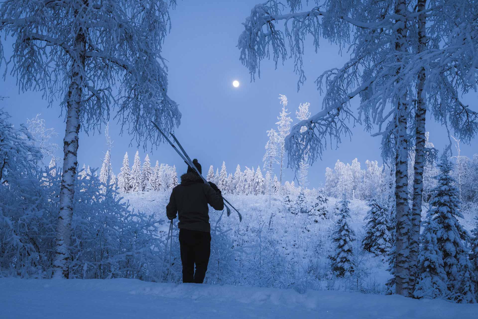 hunajamarjatila tammikuu 19