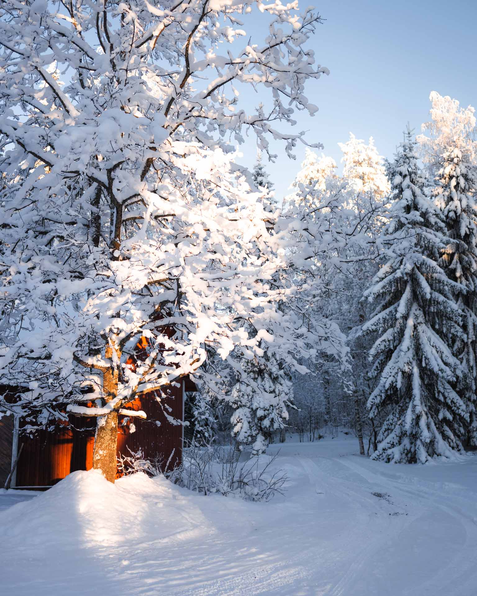 hunajamarjatila tammikuu 24 2