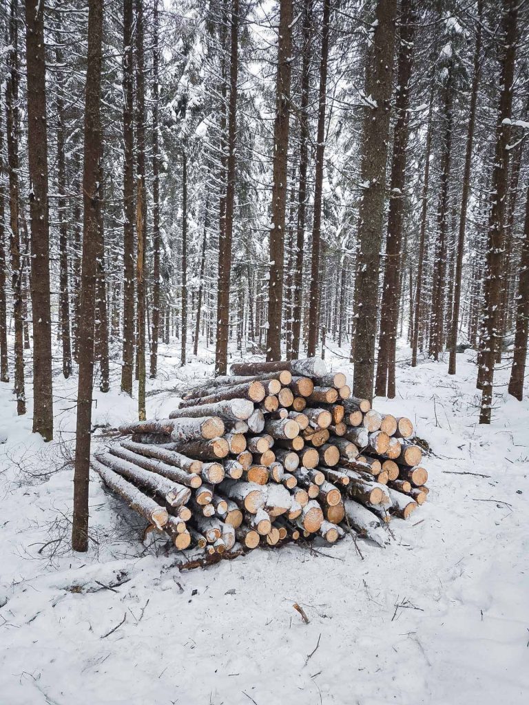 hunajmarjatila helmikuu 1