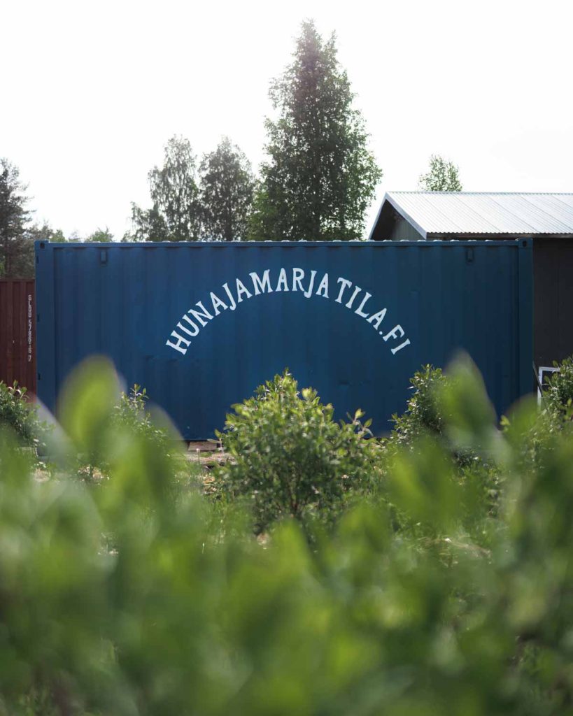 Etusivu hunajamarjatila itsepoiminta 18